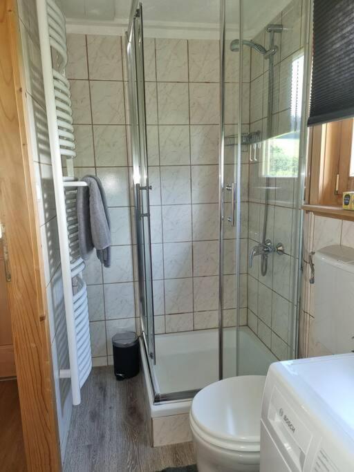 Ferienhaeuschen In Mariahof Apartment Екстериор снимка